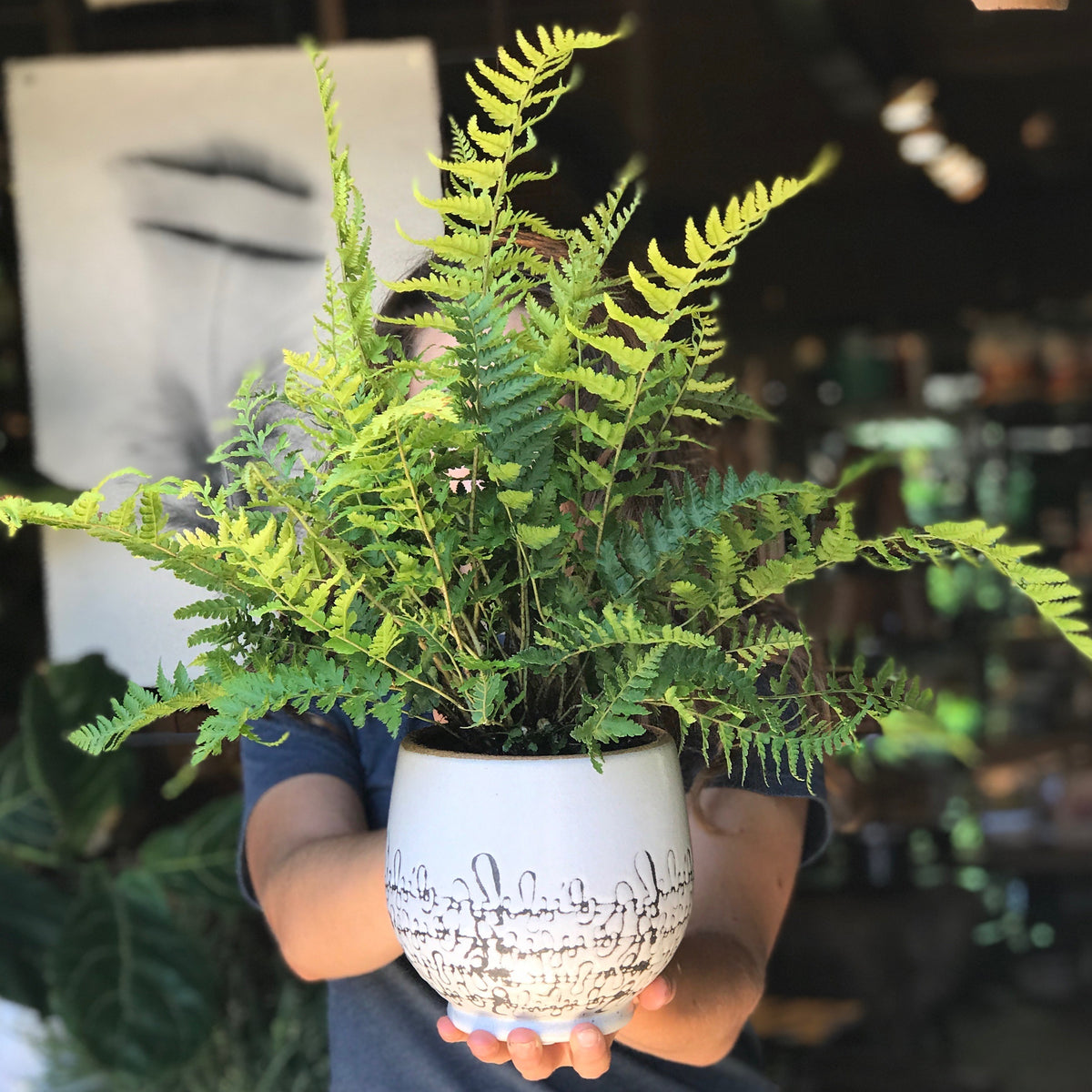 Houseplants
