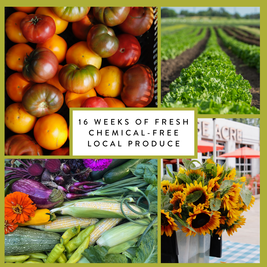 2026 CSA Newsletter # 2 Update from Farmer Dean