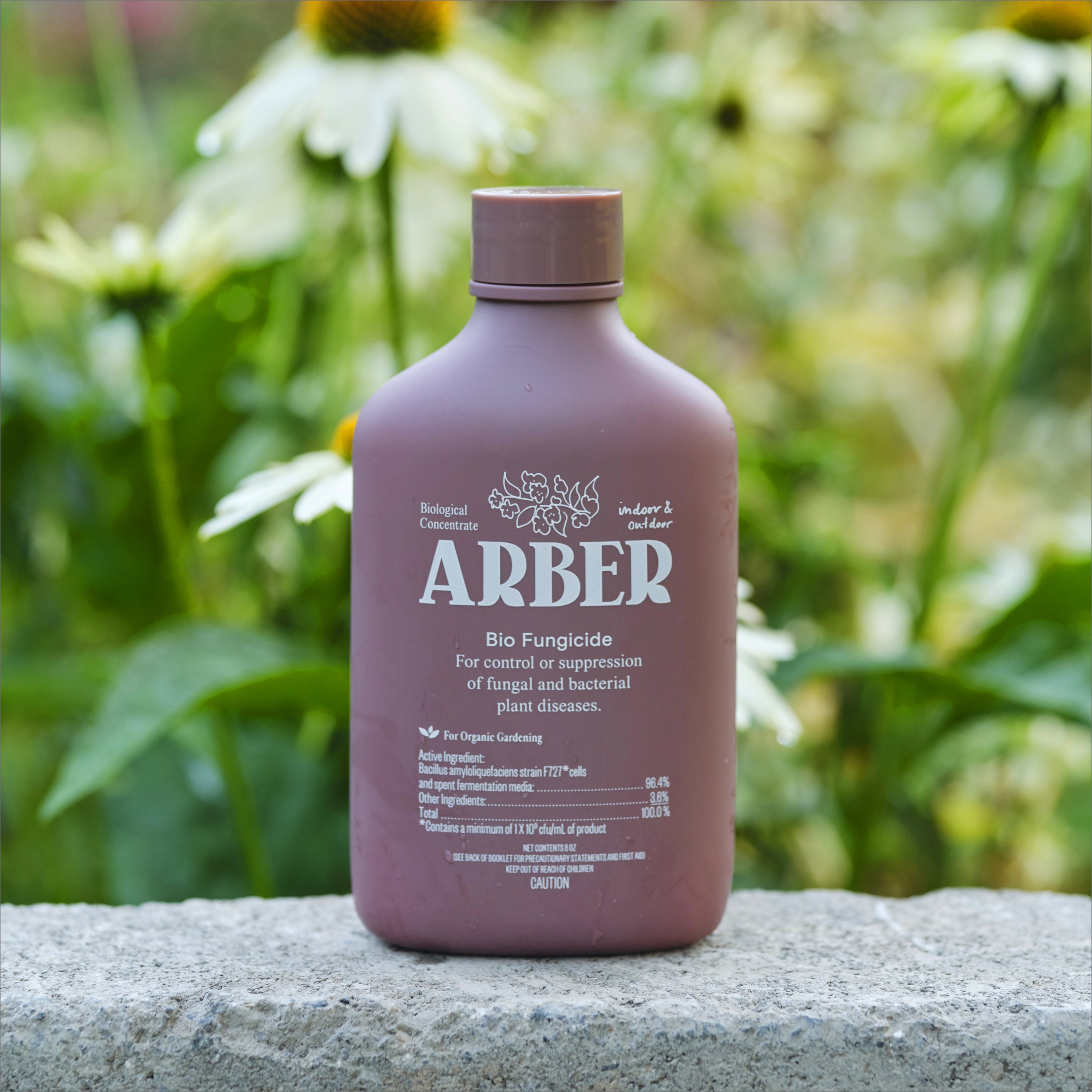 Arber Bio Fungicide – Tangletown Gardens