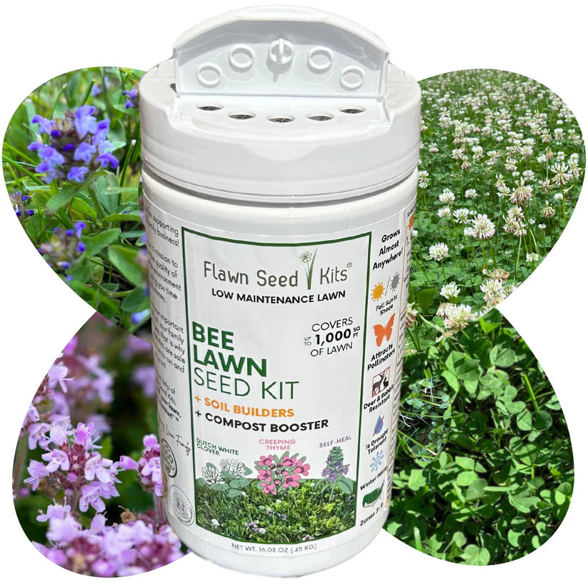 Flowering Bee Lawn