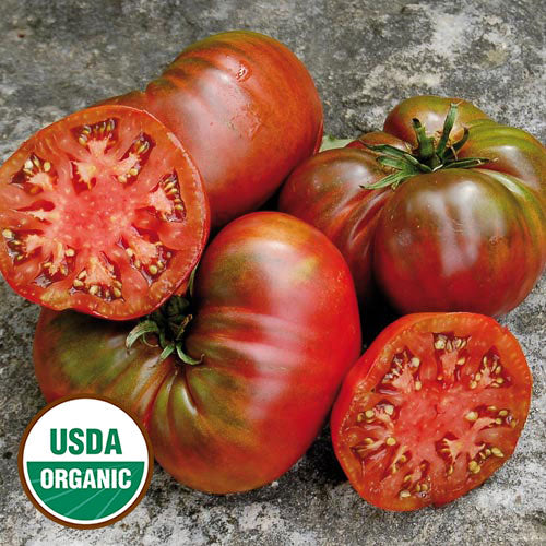 Seed Savers Exchange Sea Man Tomato