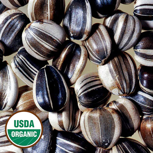 Seed Savers Exchange