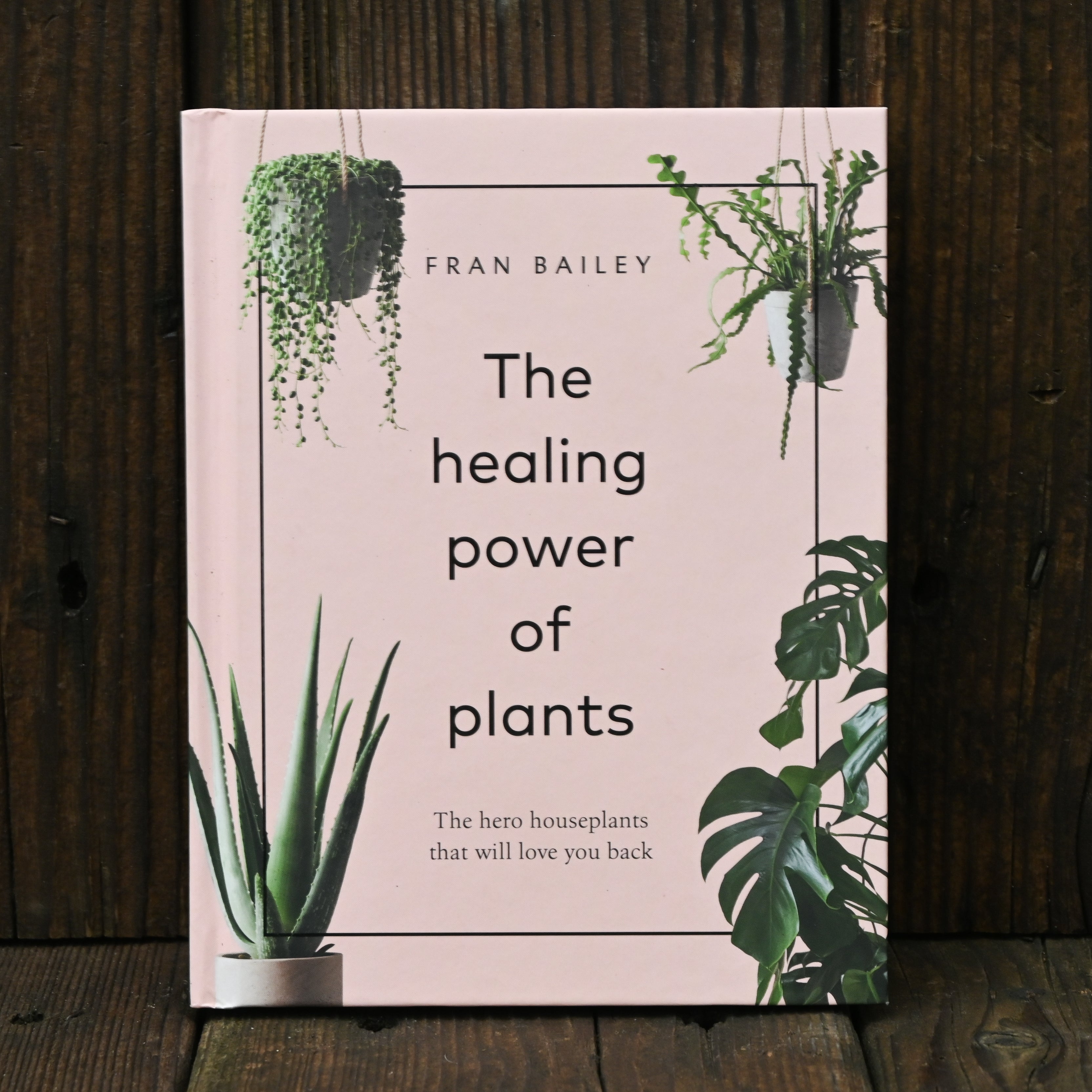 house plants with healing properties The Healing Power of Plants